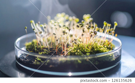alien plant spores pulsing .World UFO Day concept. Generated Image 126135626