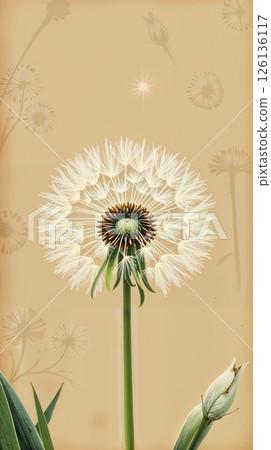 Vintage style dandelion clock botanical art beige paper 126136117