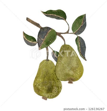 Two yellow-green pears on a branch with foliage, watercolor isolated object on a white background 126136267