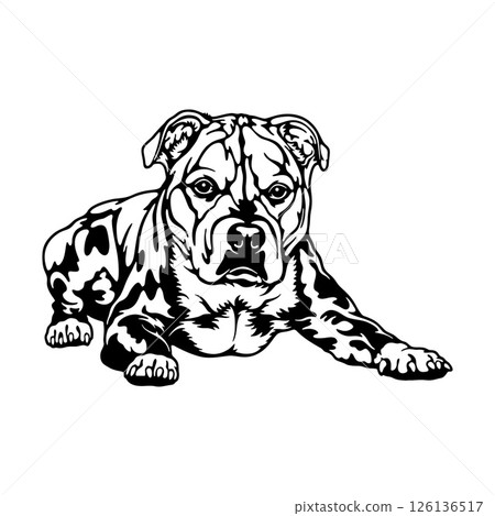 Staffordshire Bull Terrier Dog Breed - Pet Vector Cut file, Dog Silhouette Stencil - Cricut file 126136517
