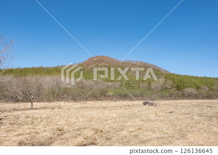 Nasu Highlands Numappara Marsh in May 126136645