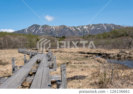五月那須高原沼原濕地木板路的風景 五月那須高原沼原濕地木板路的風景 126136661