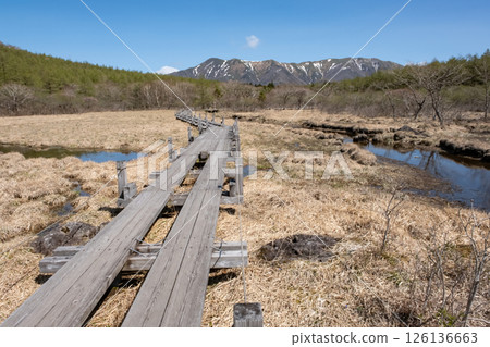 Scenery of the boardwalk along the Nasu Highlands Numappara Marsh in May 126136663
