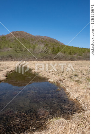 五月的那須高原努瑪帕拉沼澤 126136671