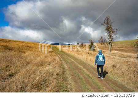 A hiker walks along a winding path in the Ore Mountains, surrounded by golden grass and sparse trees, under a dramatic sky filled with clouds. This tranquil landscape offers a perfect escape. 126136729