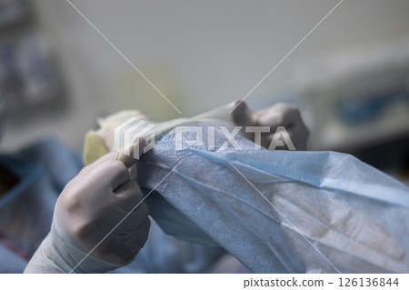 Surgeon putting on gloves before starting surgery. Close-up of veterinarian carefully putting on sterile surgical gloves, ensuring hygiene and safety before medical procedure in veterinary clinic. 126136844