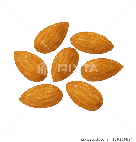 水彩杏仁插圖 水彩杏仁插圖 126136954