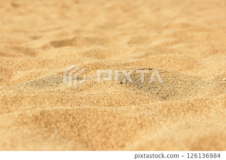 Sand of a beach detail Sand of a beach detail 126136984