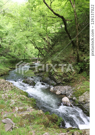 Taishaku Gorge in early summer Taishaku Gorge in early summer 126137822
