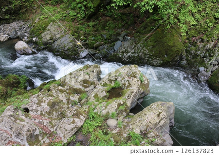 Taishaku Gorge in early summer 126137823