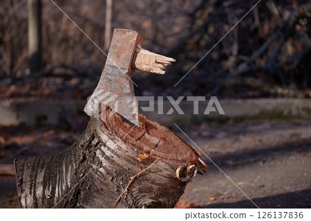 Broken axe stuck in a log 126137836