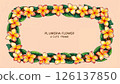 Tropical plumeria wreath frame 126137850
