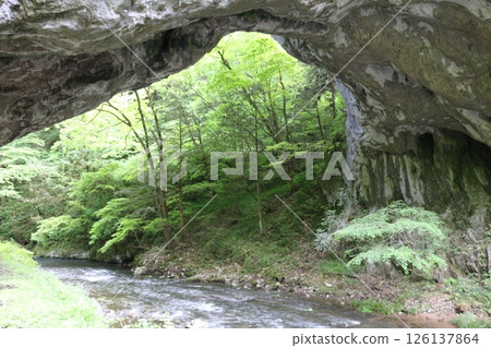 Taishaku Gorge in early summer 126137864