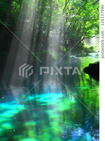 Beautiful rays of light emerge from Kikuchi Valley (Kikuchi City, vertical composition) 126137990