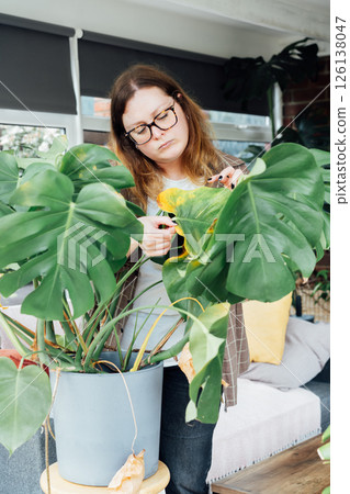 Young upset, sad woman examining yellowed leaf of home Monstera plant. Houseplants diseases. Diseases Disorders Identification and Treatment, Houseplants sunburn, overwatering. Damaged Leaves. 126138047