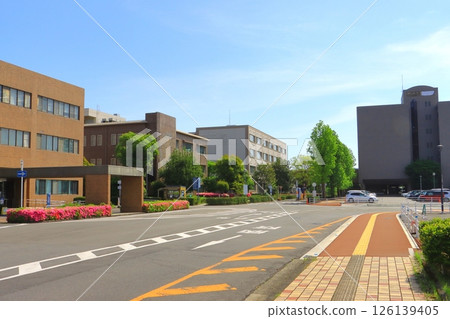 Oita University School of Medicine 126139405