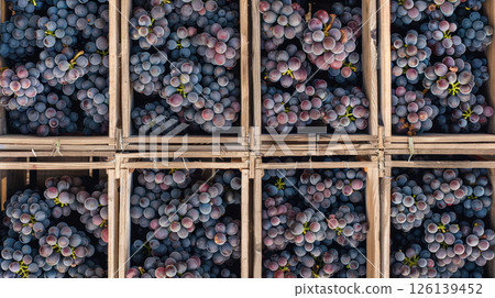 topdown view wooden crate filled grapes 126139452