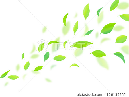 Background material with fresh green leaves fluttering 126139531