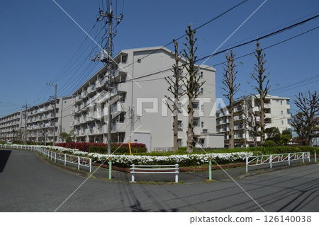 Spring in an apartment building, Hachioji City 126140038
