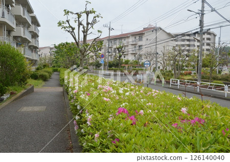 Spring in an apartment building, Hachioji City 126140040