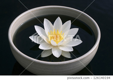 白色的睡蓮漂浮在睡蓮盆中 126140194