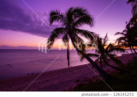Oceania, Republic of Fiji, Viti Levu, Coral Coast, Korotogo, palm trees and sunset on the beach Oceania, Republic of Fiji, Viti Levu, Coral Coast, Korotogo, palm trees and sunset on the beach 126141253