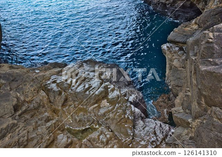 Ebisu-dong 126141310