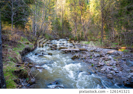 Tretya Rechka river or The third river flowing near Artybash town. Pristine freshwater river landscape in Altai region Russia 126141321