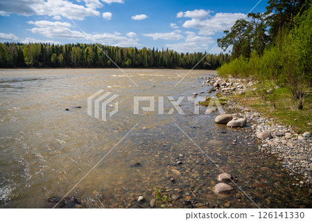 Wide view of the Biya River flowing through the Altai region of Russia. Concept of purity, natural power, and meditative stillness in untouched wilderness 126141330