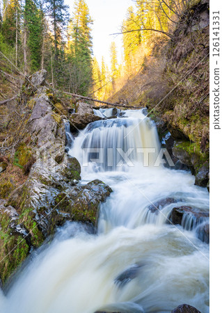 Tretya Rechka or The third river waterfall near Artybash town. Majestic cascade in pristine Altai nature Russia Tretya Rechka or The third river waterfall near Artybash town. Majestic cascade in pristine Altai nature Russia 126141331