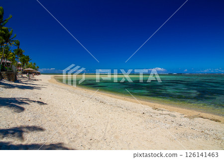 大洋洲、斐濟共和國、維提島、珊瑚海岸、科羅托戈島、藍天沙灘和棕櫚樹 大洋洲、斐濟共和國、維提島、珊瑚海岸、科羅托戈島、藍天沙灘和棕櫚樹 126141463