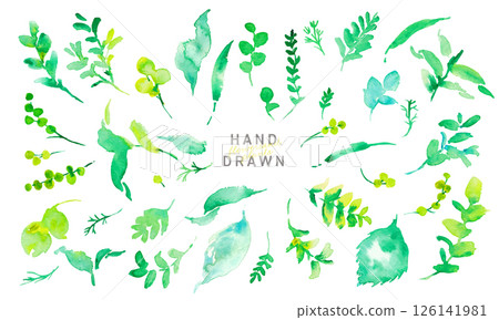 Watercolor. Vector illustration of plants with a watercolor touch. Watercolor green leaves. Environment. Eco. 126141981