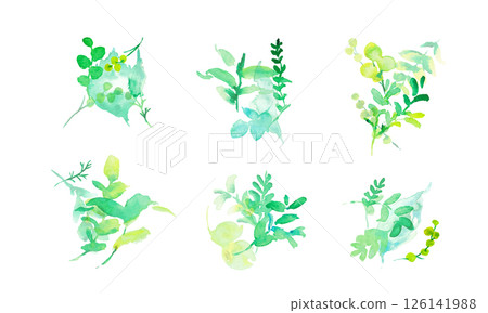 Watercolor. Vector illustration of plants with a watercolor touch. Watercolor green leaves. Environment. Eco. Watercolor. Vector illustration of plants with a watercolor touch. Watercolor green leaves. Environment. Eco. 126141988