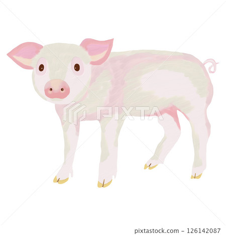 用油畫筆繪製的可愛小豬插圖剪貼畫插圖PNG 126142087