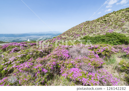 Miyama Kirishima blooming in Aso Sensuikyo in fine weather Miyama Kirishima blooming in Aso Sensuikyo in fine weather 126142282