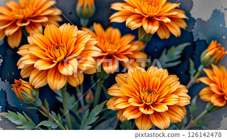 A charming watercolor vignette of marigolds, in an intimate watercolor style 126142478