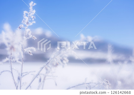 Frost on the countryside (Hiruzen Plateau) 126142668