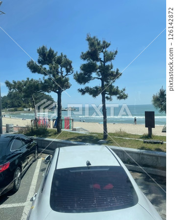 韓國海灘上的松樹和夏日天空 |藍天和沙灘的風景 126142872