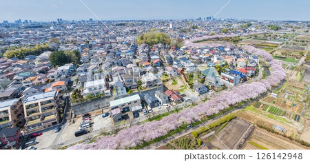 鳥瞰“埼玉縣”春天的見沼稻田日本最好的櫻花走廊 126142948