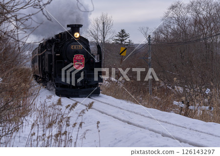 北海道虎頭海雕、虎頭海雕、鳥類、動物、冬季 126143297