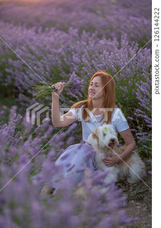 A woman sits in a field of lavender flowers with her dog 126144222