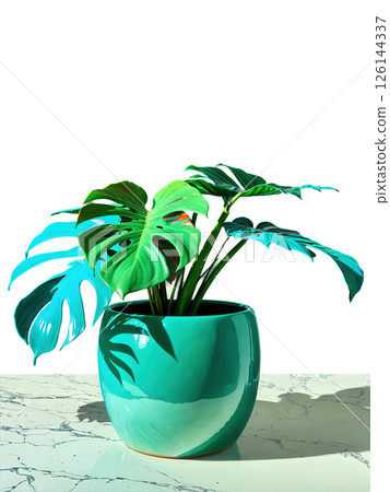 Pottery Art Modern ceramic pot with a glossy finish, showcasing a thriving Monstera, its leaves cascading over the rim in 126144337
