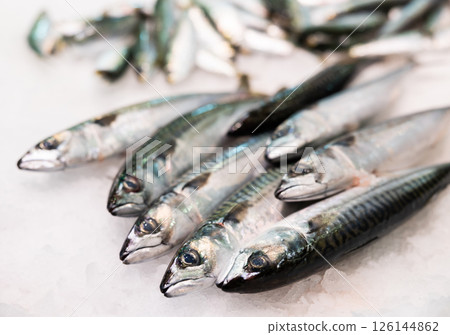 Atlantic mackerel on ice Atlantic mackerel on ice 126144862