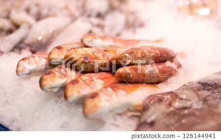 Red mullet fish on ice in market 126144941