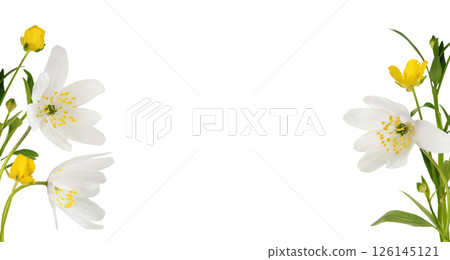 Wild anemones and wild ranunculus flowers in acorner floral arrangements isolated on white 126145121