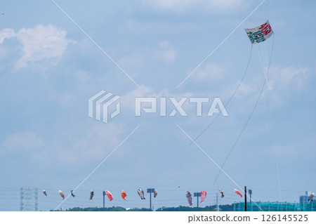 Sagami's big kite festival 126145525