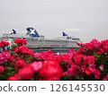 山下公園的玫瑰與豪華遊輪 126145530