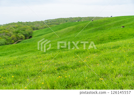 俯瞰草山 126145557