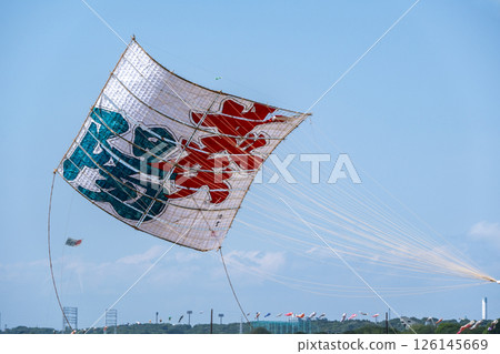 Zama City Giant Kite Festival 126145669
