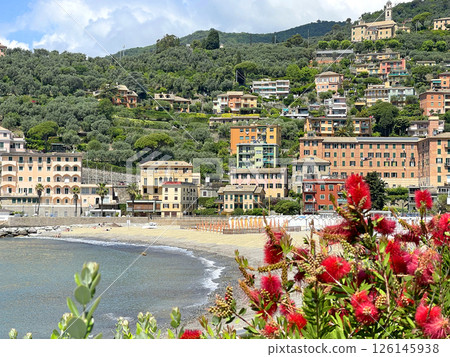 Liguria and old traditional building, church. Recco town by sea. Panoramic view with mountain. Tourism and vacation. 126145938